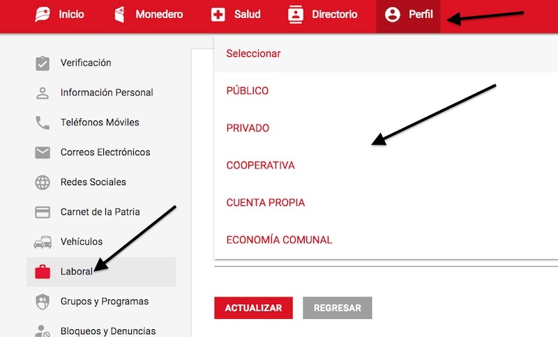 Hay varias empresas en el sistema: pública, privadas, cooperativas, economía popular, y la opción de trabajador independiente